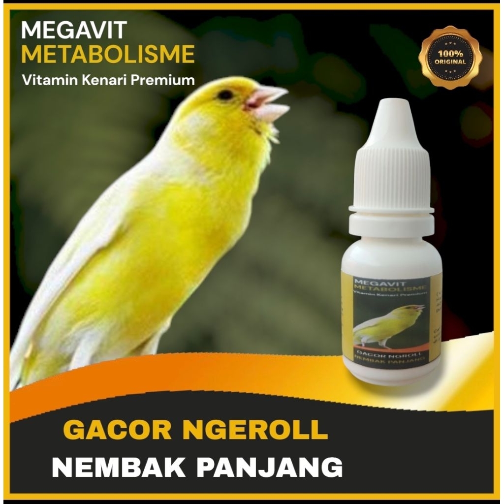 Vitamin dan Doping Burung Kenari Premium Biar Cepat Gacor