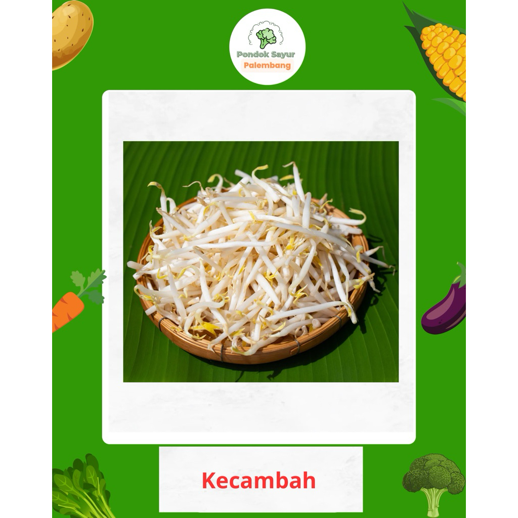 

TOGE KECAMBAH FRESH PONDOK SAYUR FRESH PALEMBANG