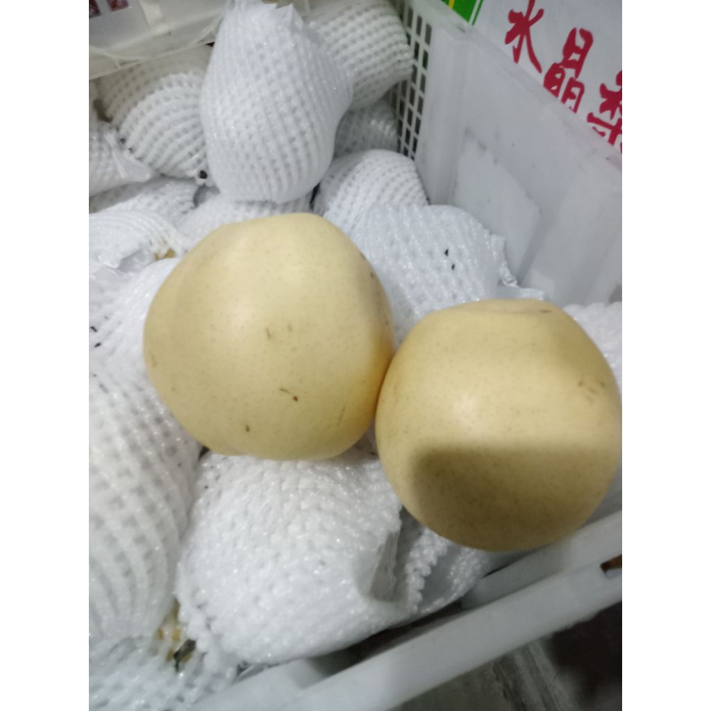 

buah pir 1kg fress