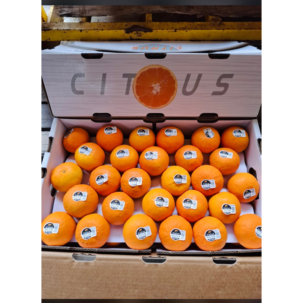 

Jeruk wokam manis banyak air | jeruk manis mandarin wokam 1 kg