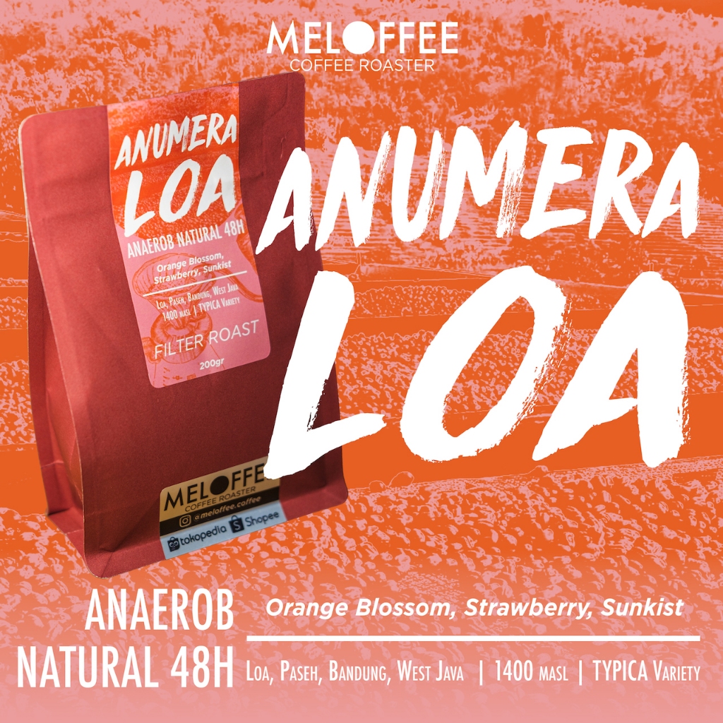 

ANUMERA LOA Typica Anaerob Natural 48H - Kopi Filter Specialty - MELOFFEE Coffee Roaster