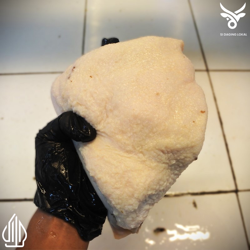 

Babat sapi putih fresh - 1 kg