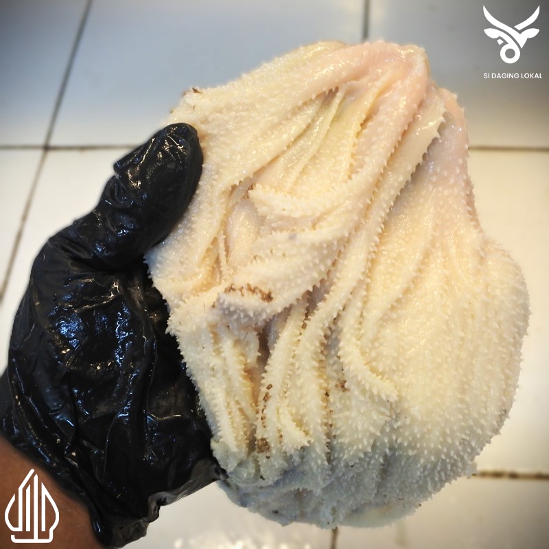 

Babat jarit sapi putih fresh - 1 kg