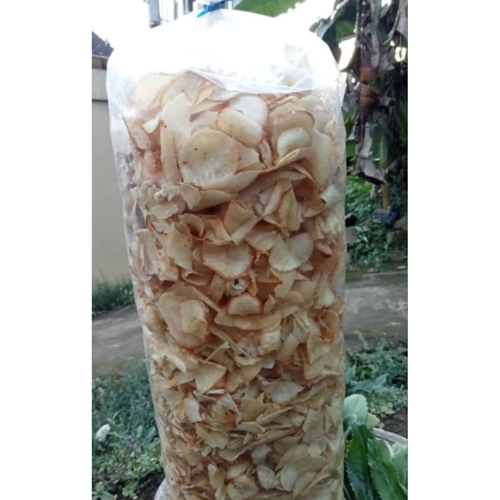 

Patahan Balungkuwuk 1kg