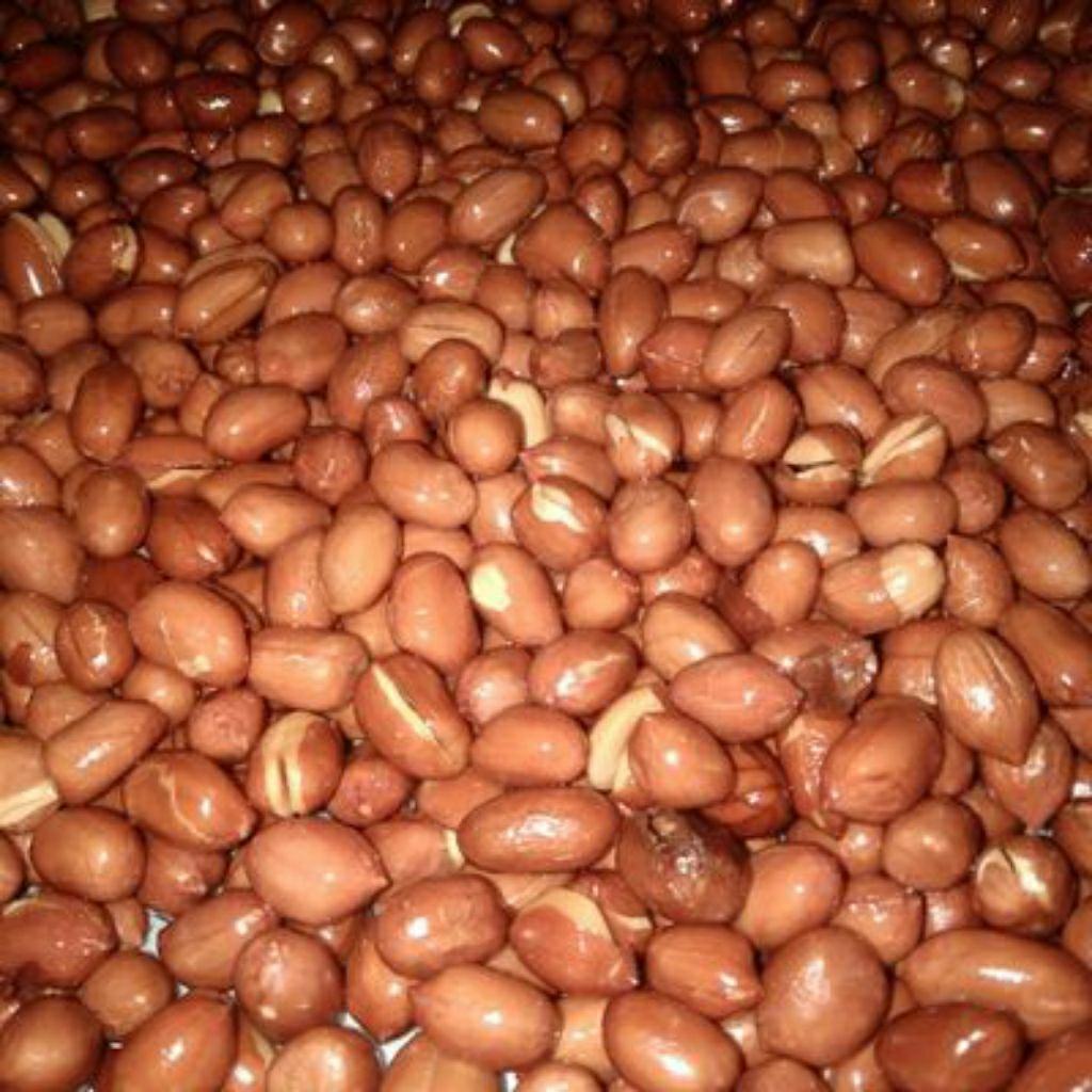 

Kacang tanah goreng/kacang suuk goreng 250g by pasar Tasik online