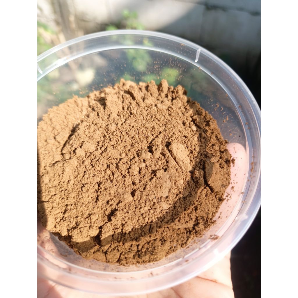 

kopi robusta khas gunung kawi