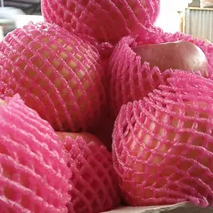 

Apel puji 500G