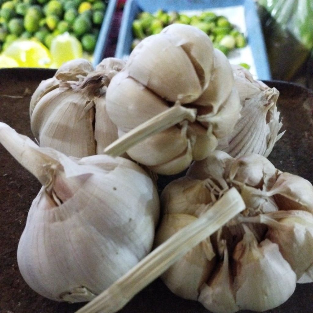 Bawang Putih Sinco