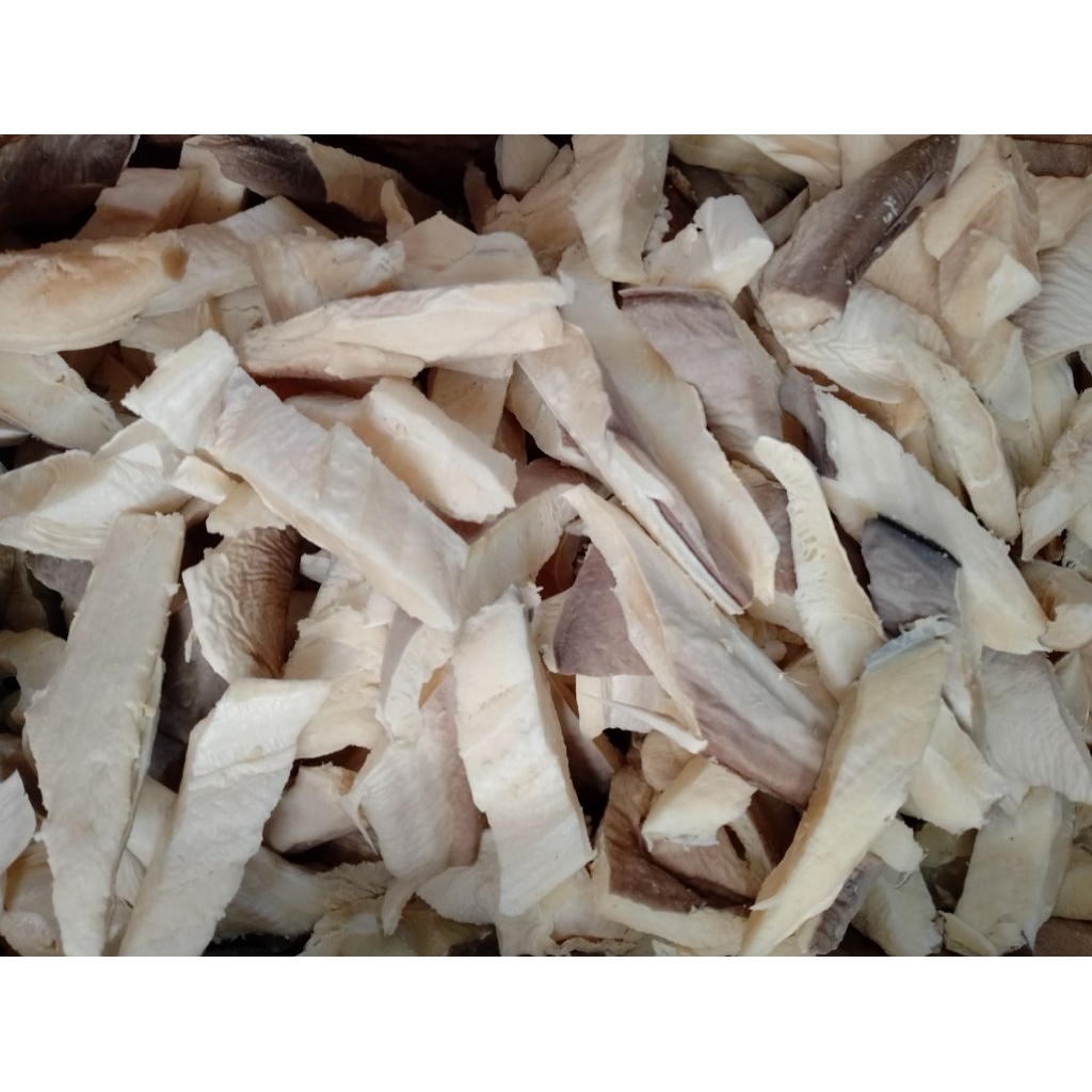 

ikanasincucutkulitdancucutdaging