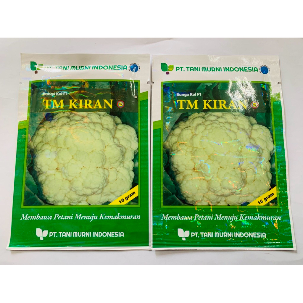 Benih bungkul kol F1 TM KIRAN