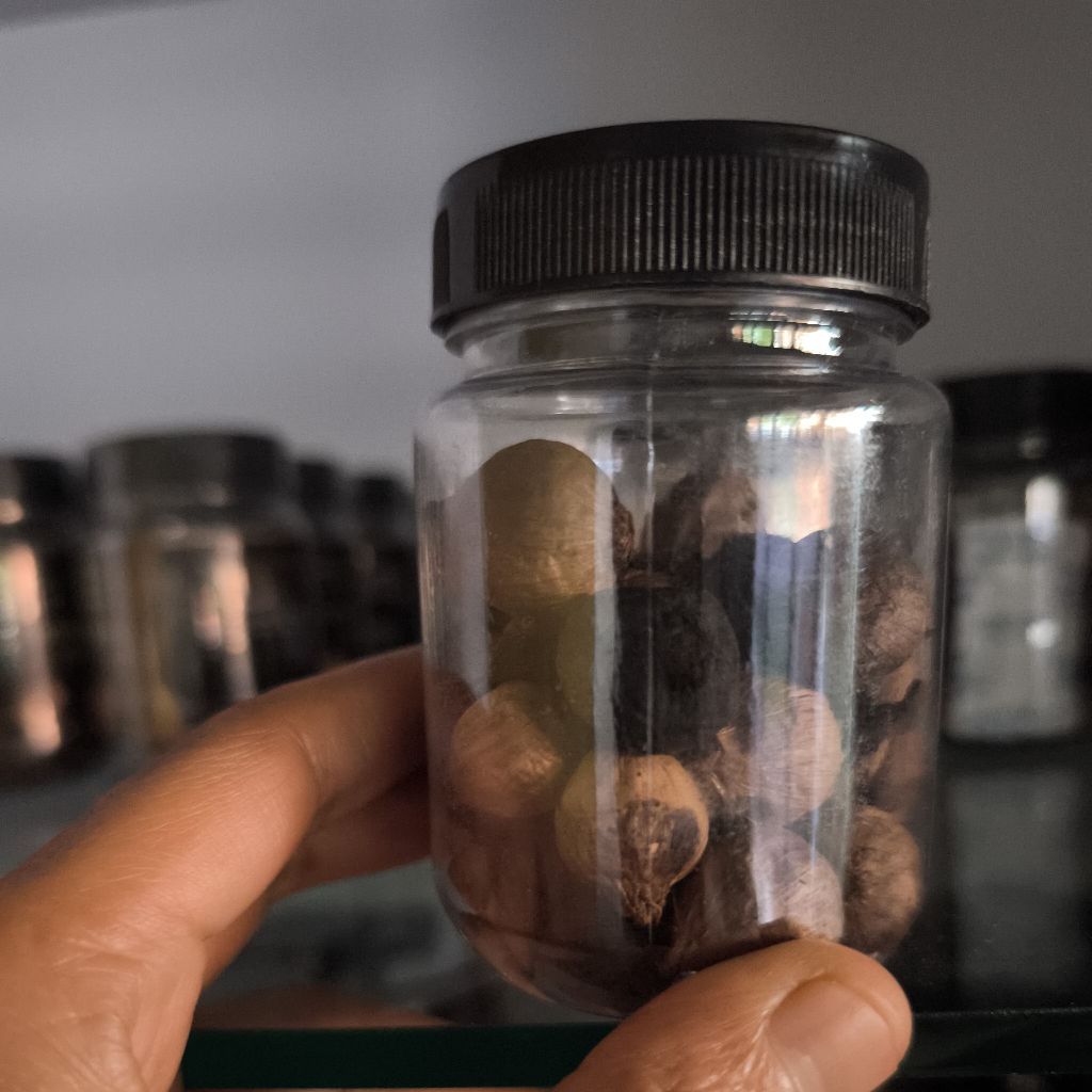 

Black Garlic Non Label Fermentasi Alami 50gr Asli