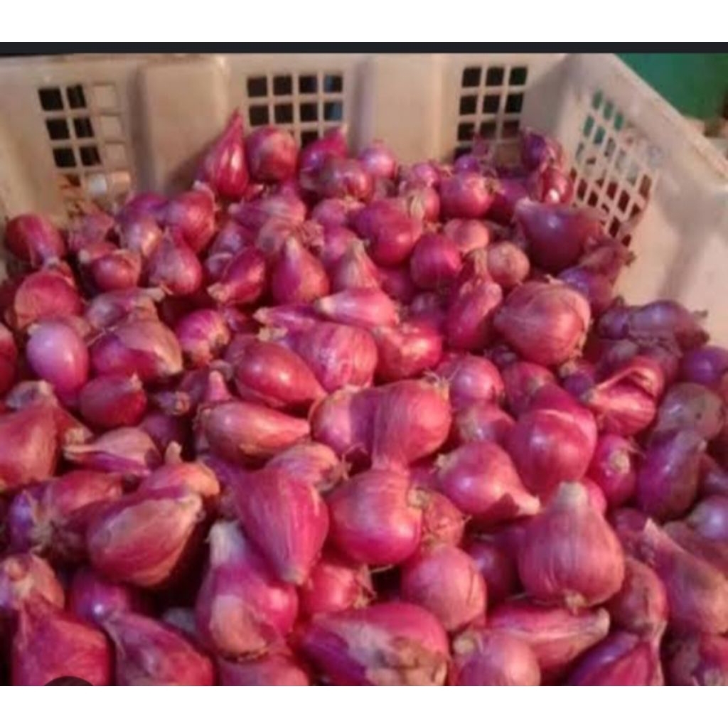 

bawang merah bersih 125g,250g,500g(1/2kg)