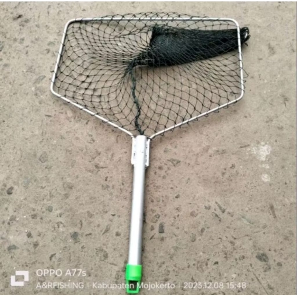 Serok Lele gurame/serok ikan bersar