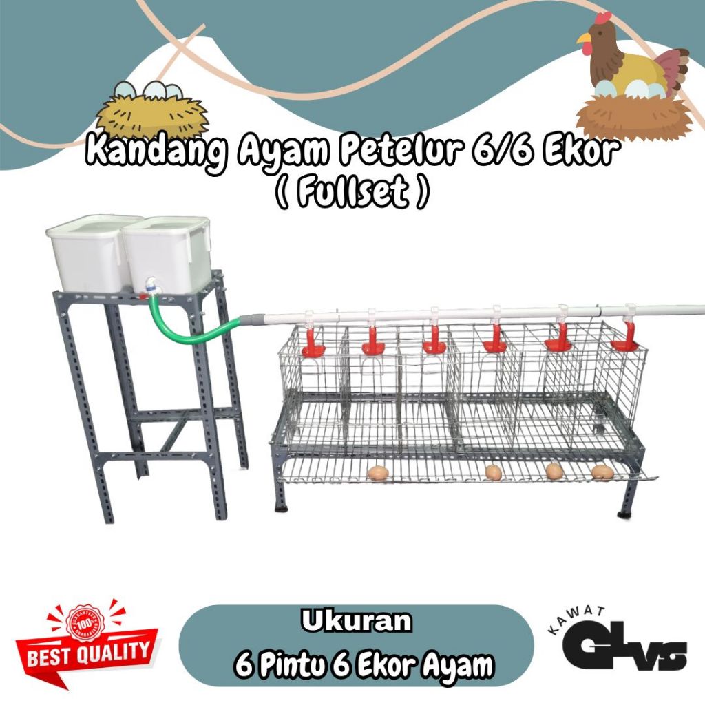 Kandang ayam petelur full set | kandang ayam petelur pintu 6/6 ekor ayam | kandang petelur