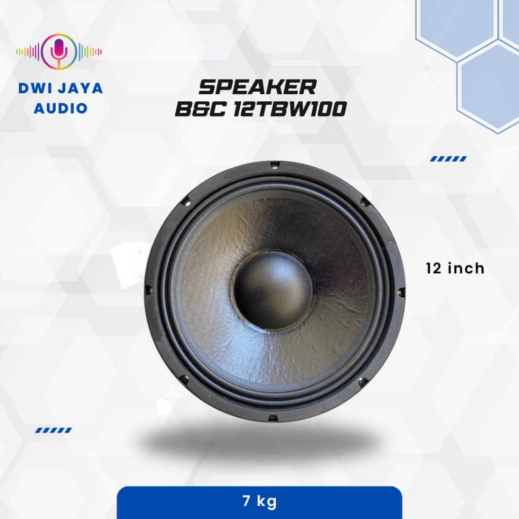 Speaker B&C 12TBW100 | Spiker 12 inch