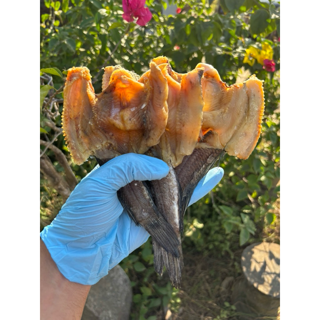 

Ikan Asin Gabus Kering Premium 250gr