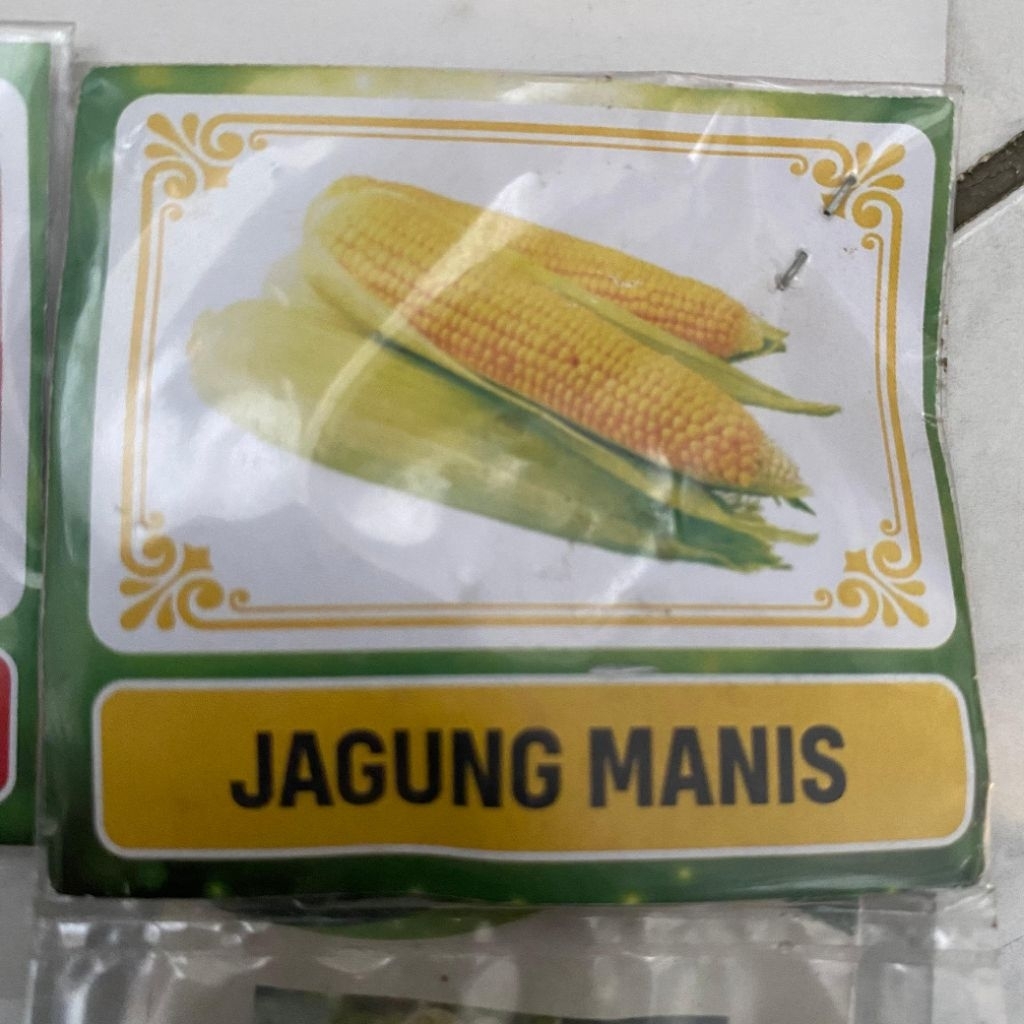 

benih sayuran (jagung)