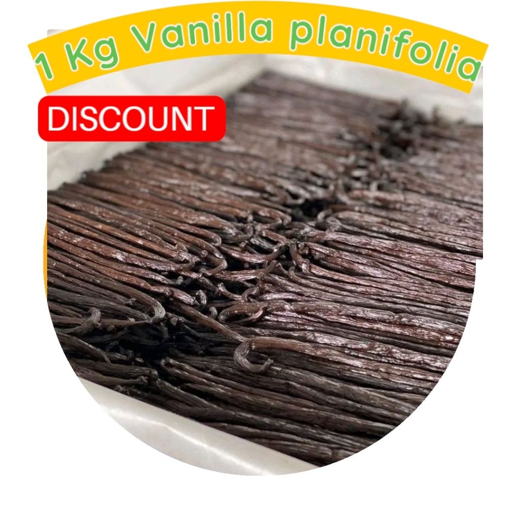 

VANILI PLANIFOLIA GORMET 17 CM
