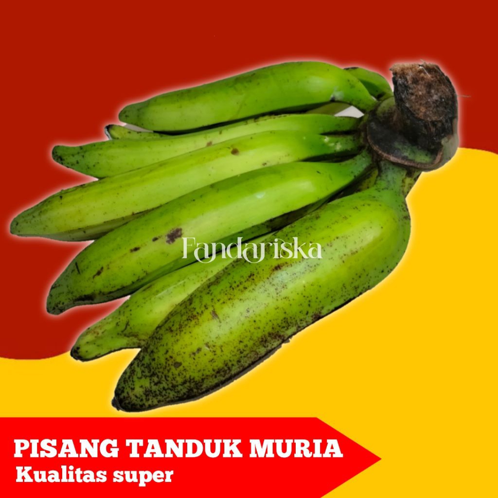 

PISANG TANDUK MURIA 1KG