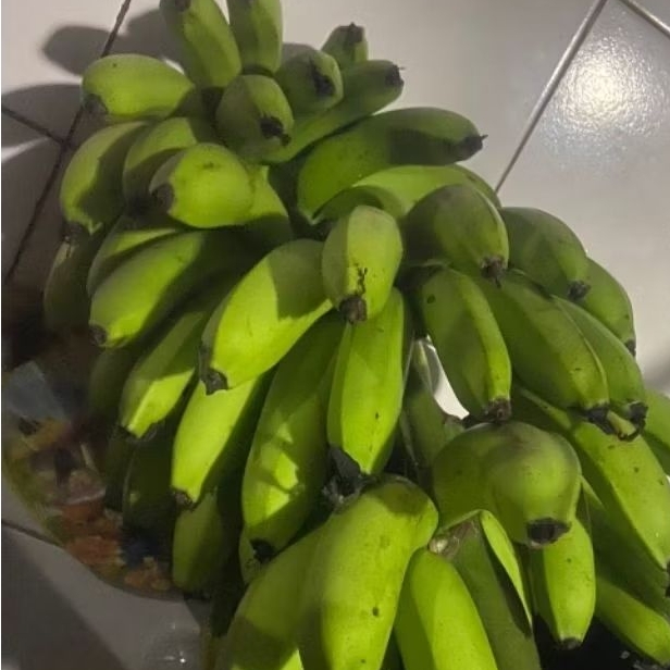 

Buah Pisang Mentah J ER Exc Pisang Bangkaulu