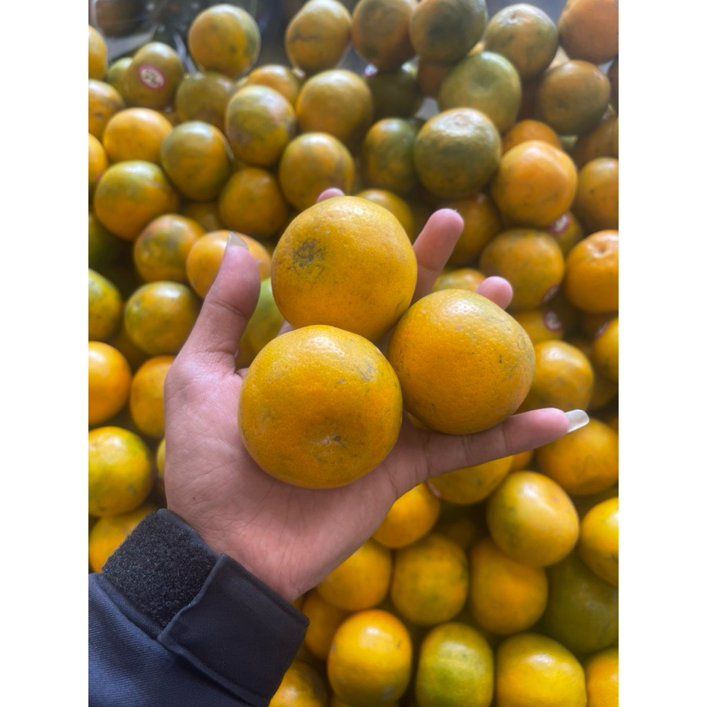 

Jeruk Shantang Nusantara | Jeruk Nusantara Fresh 1 kg