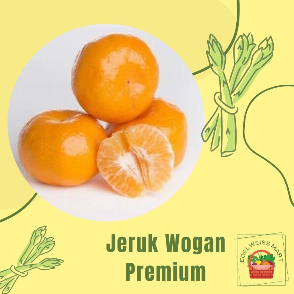 

JERUK WOGAN PREMIUM - INSTANT SEMARANG