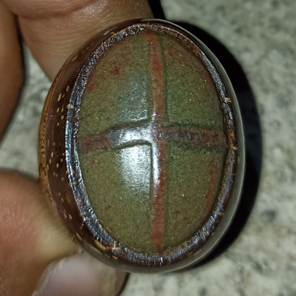 Tapak Jalak urat merah HIGH QUALITY