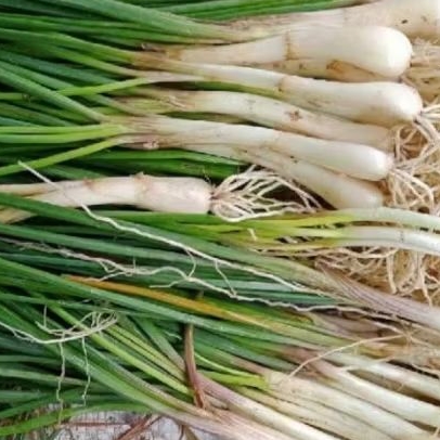 

bawang Batak bawang arsik 250 gram