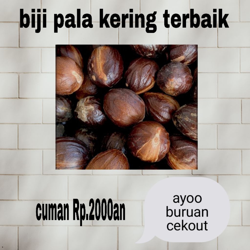 

biji pala kering asli