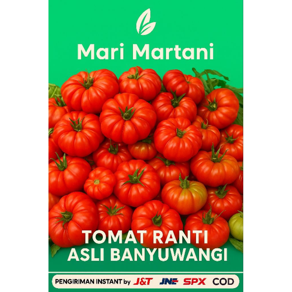 

TOMAT RANTI | TOMAT KRITING 1KG