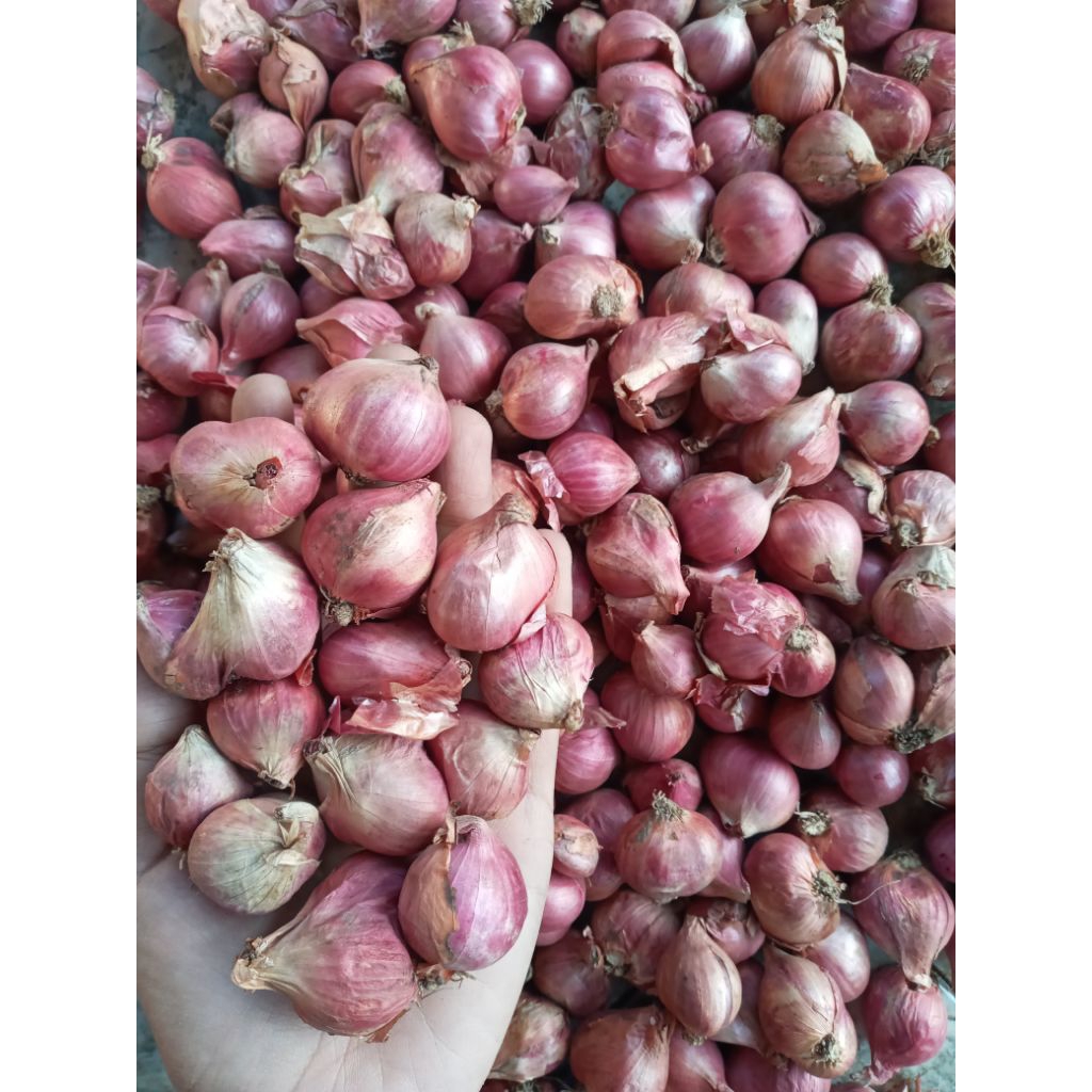 

Bawang merah 1kg