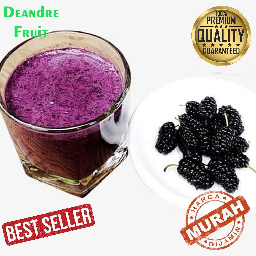 

GROSIR MURAH Jus Blackberry 1 Liter Juice Buah Murbei Segar Fresh