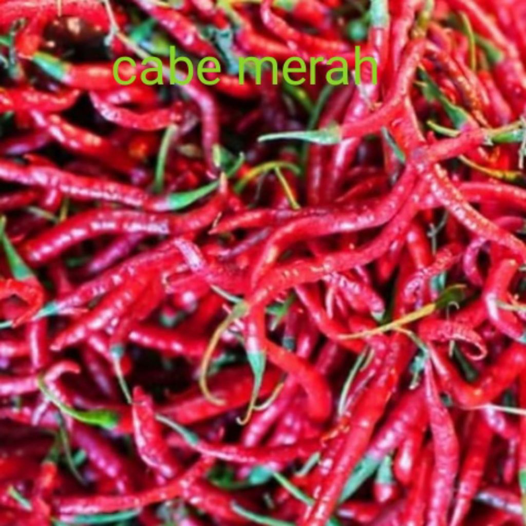

cabei merah per 500 gr