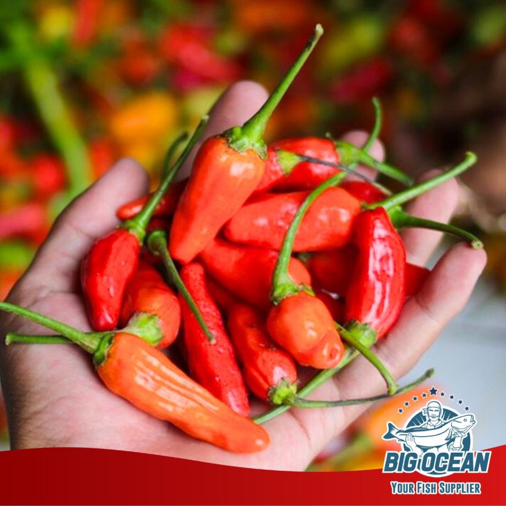 

Cabe Rawit Merah segar 250gr 100gr/Cengek Merah/Sayur Segar (Fresh)