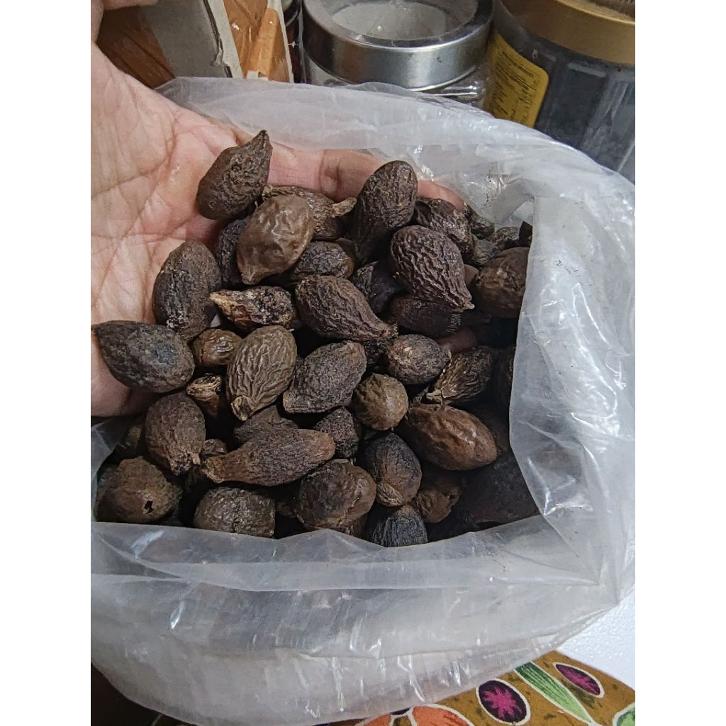 

Buah tempayang/buah bengkak/kembang semangkuk 50 grm
