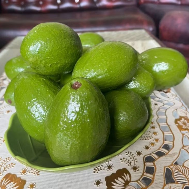 mainan buah alpukat palsu ukuran 12X8 ( 1buah ) cocok di gunakan untuk mainan anak edukatif / etalas