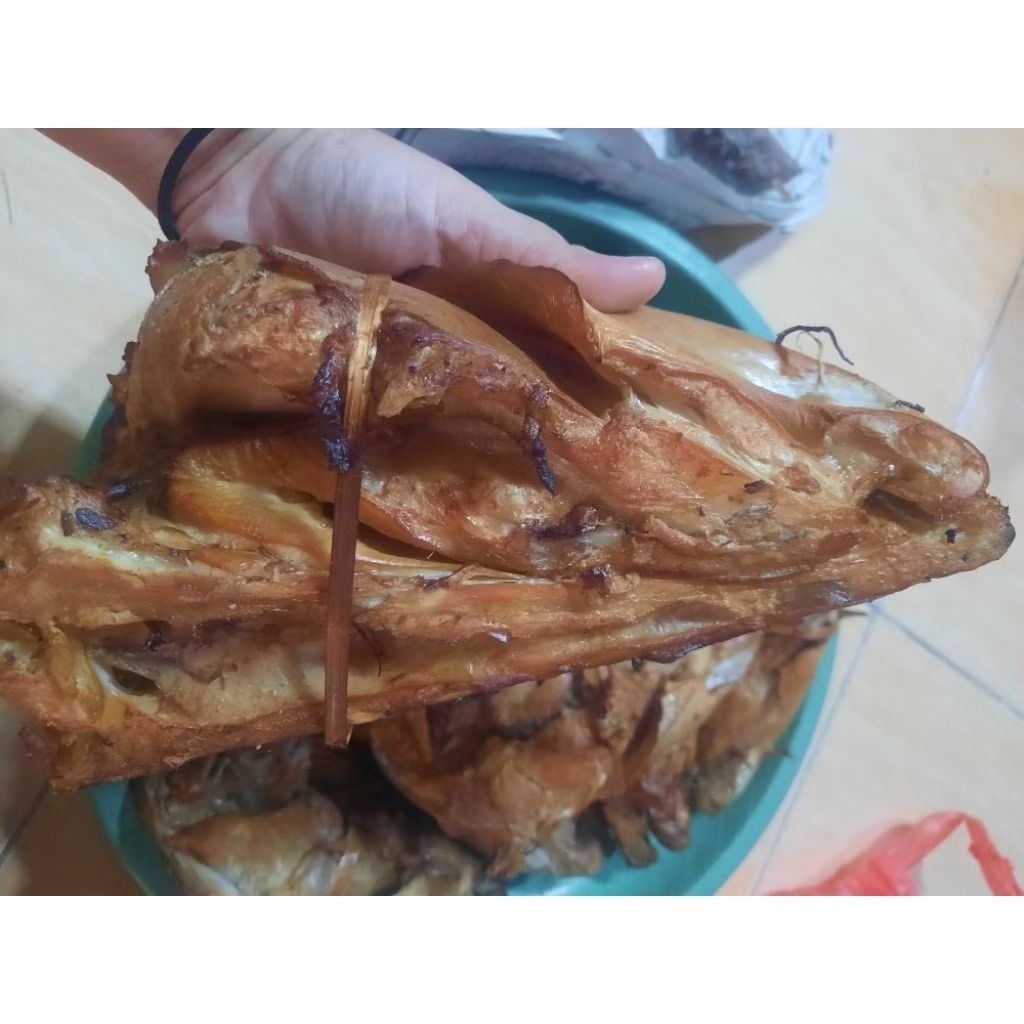 

kepala manyung besar