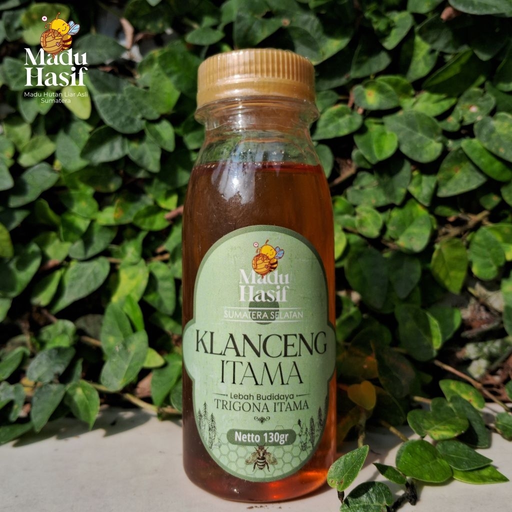 Madu Klanceng Lebah Trigona