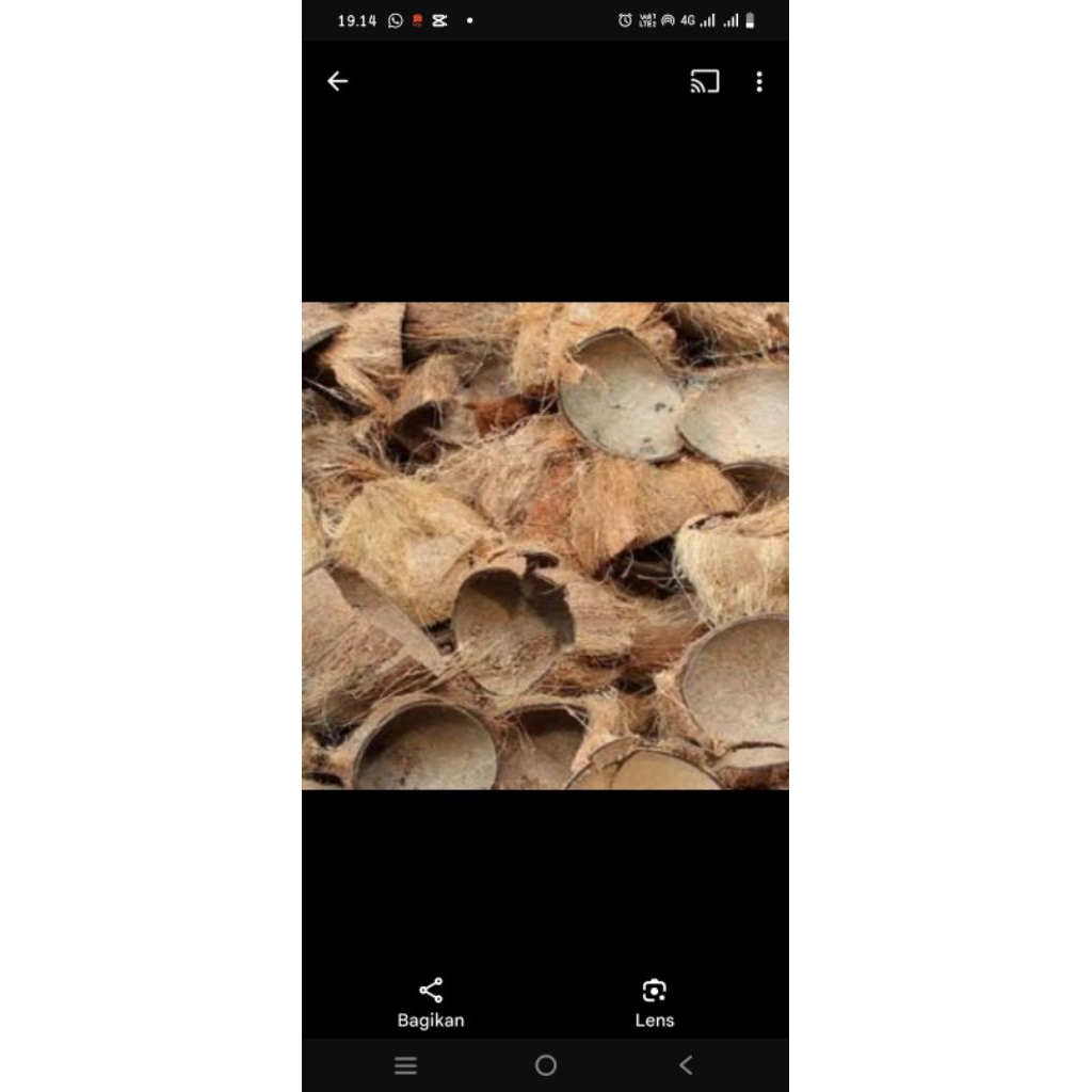 BATOK KELAPA kering batok kelapa cacah batok kelapa 1 kg