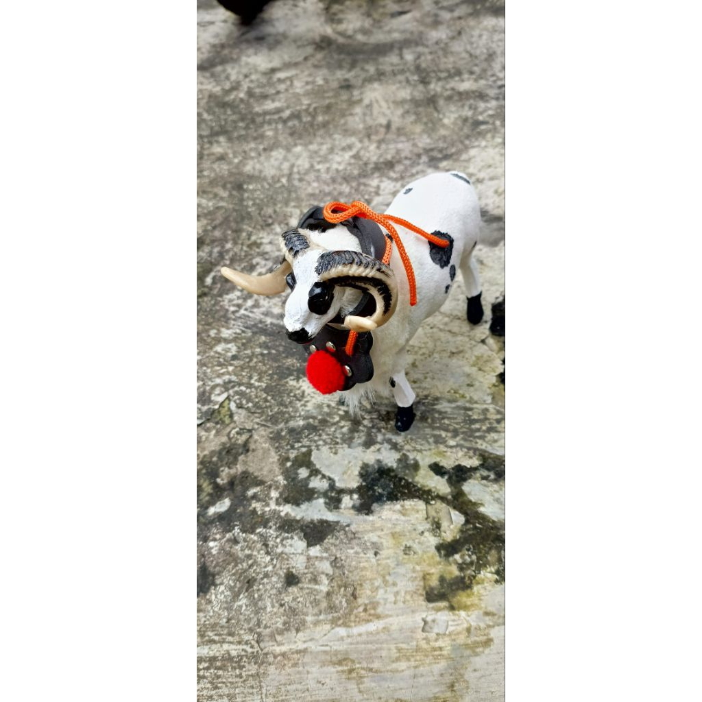 miniatur domba garut terbaik