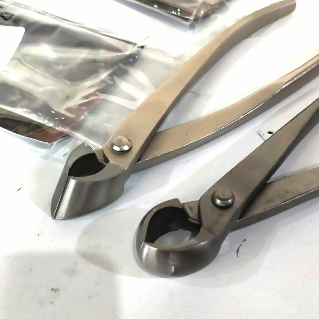 catok bonsai atau krekut bonsai