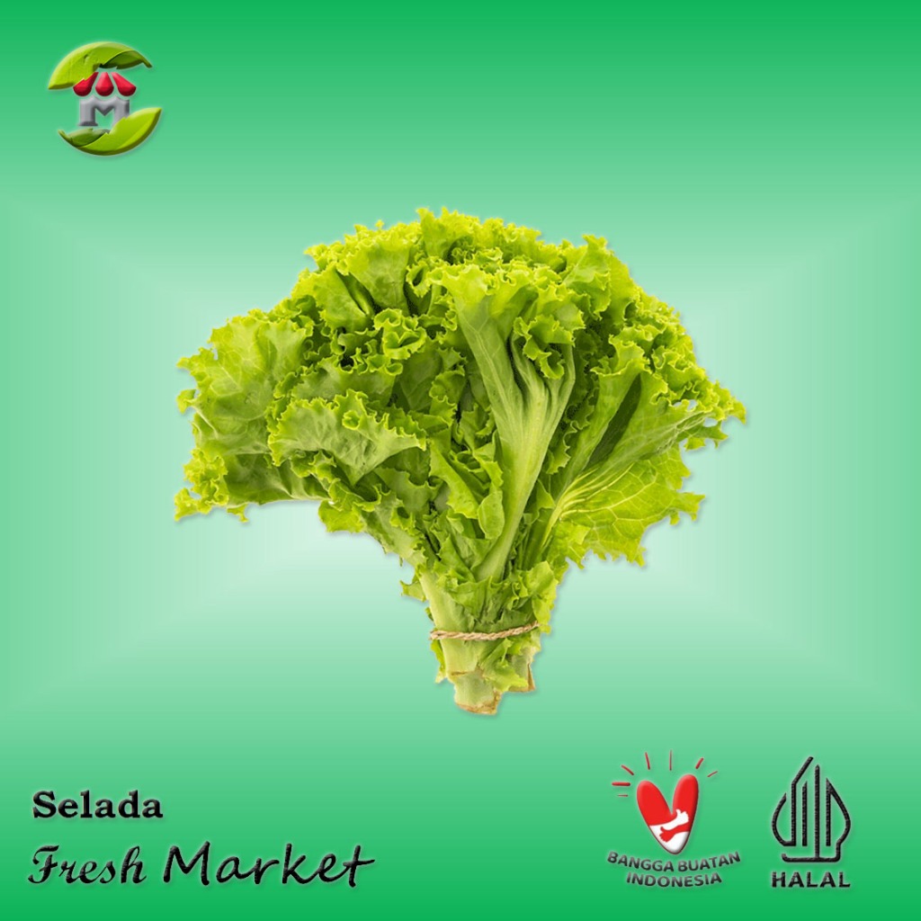 

[JAKPUS] Selada Segar Pack 250gr