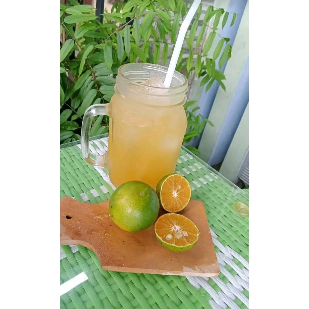 

jeruk peras buat minuman,kaya vit C asli jember