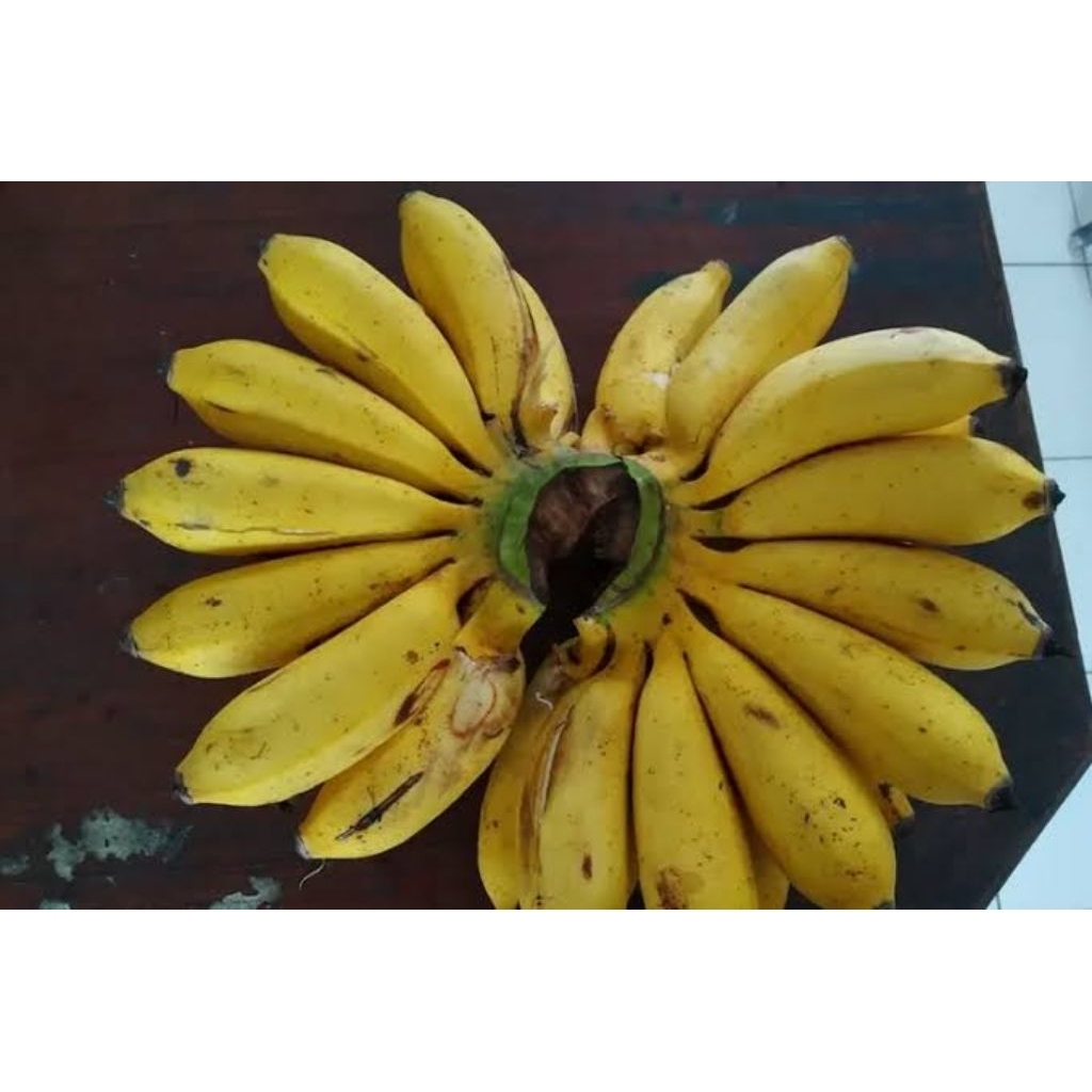 

pisang susu manis banget