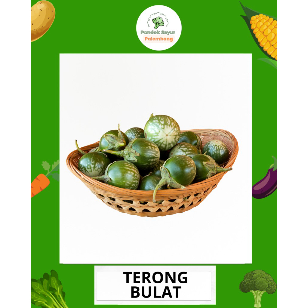 

TERONG BULAT HIJAU TERONG LALAPAN PONDOK SAYUR FRESH PALEMBANG