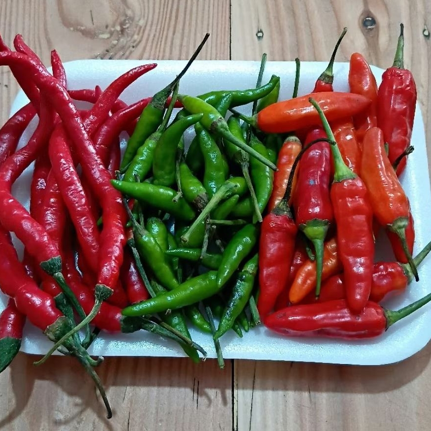 

Cabai serba 5000 kualitas bagus