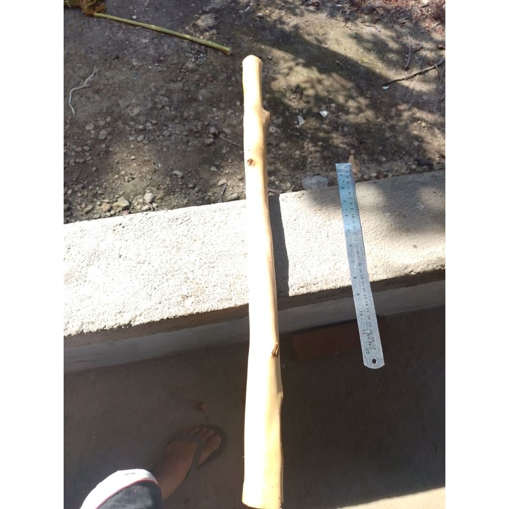 Kayu Kopi asli tangkringan burung kakak tua dan lainya