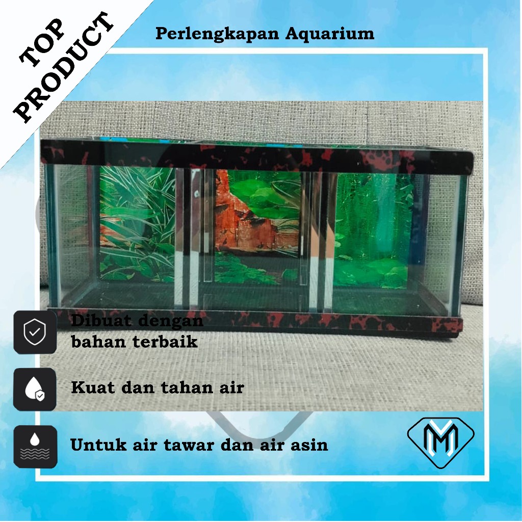 aquarium mini, aquarium minimalisa,quarium ikan chana,aquarium untuk berbagai macam ikn hias