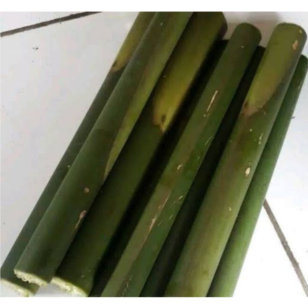 

Batang pohon kecombrng tua segar alami 1 kg