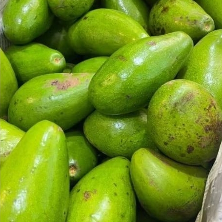 

Alpukat Mentega Siger 1kg (MENGKAL)